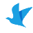 chillpainai.com favicon